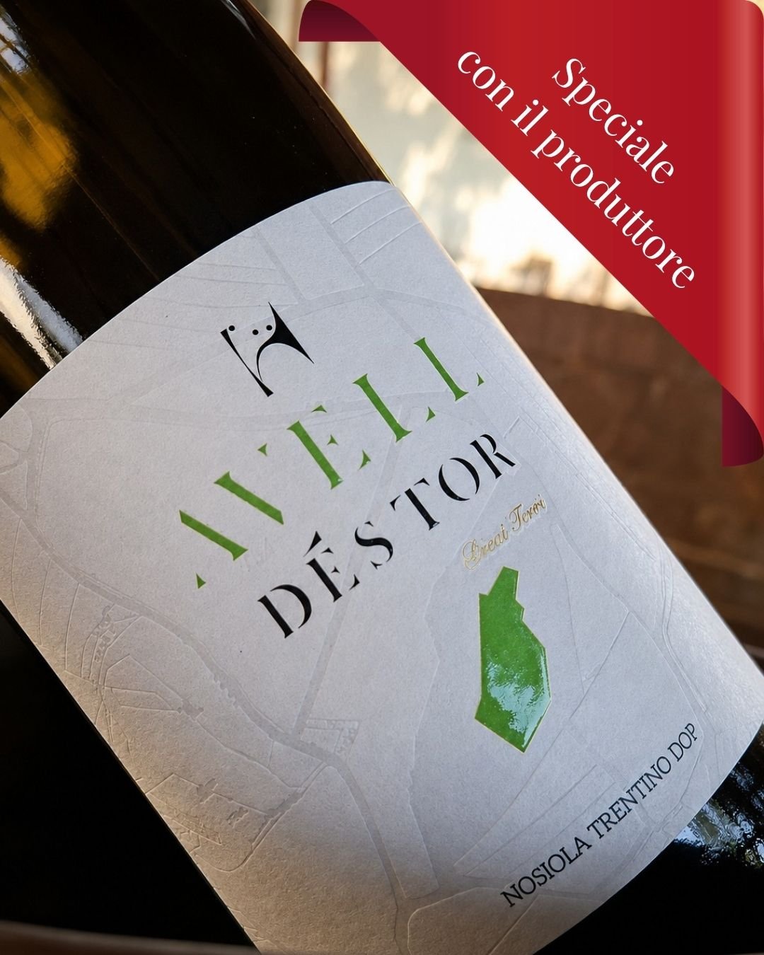 Vino Nosiola Speciale con il produttore Mattè